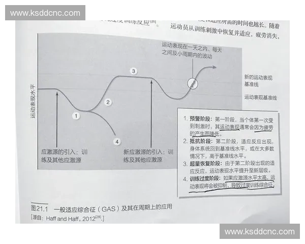 肌肉激活训练全面解析与实用方法提升运动表现